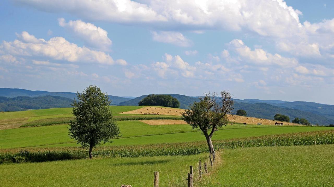 Ferienhof Knoll Lindenfels Buitenkant foto